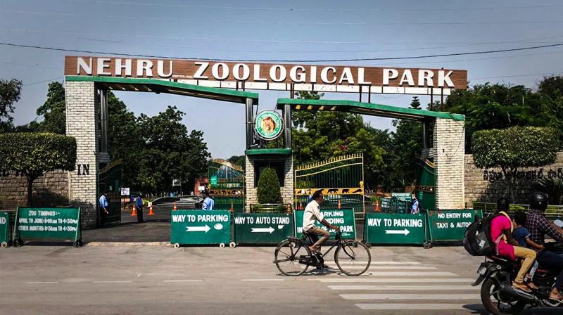 zoo